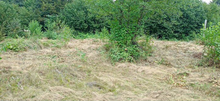 Участок 10 сот. (СНТ, ДНП)