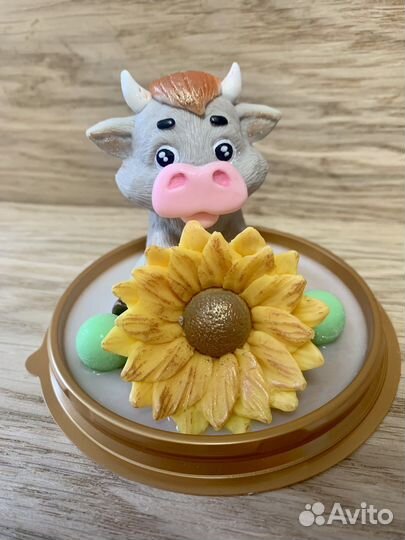 Мыло в куполе