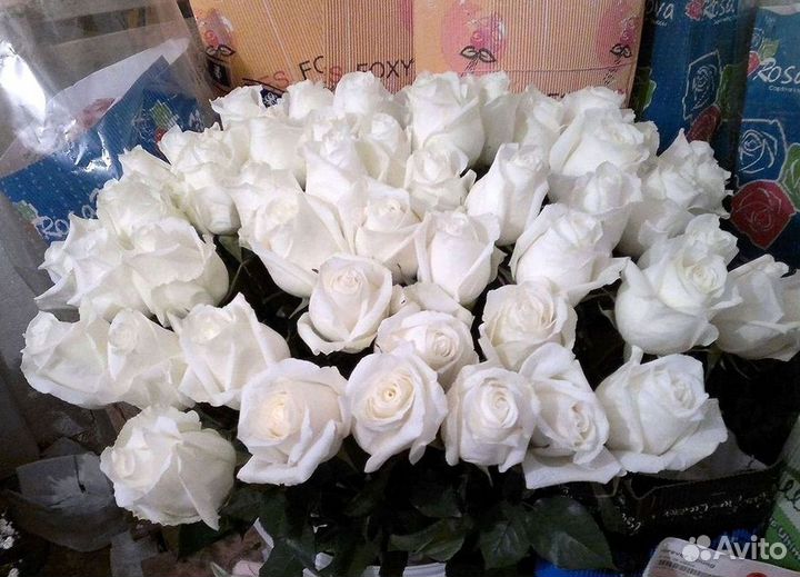 Розы Цветы Букеты 25 151 201 101 301 501 опт