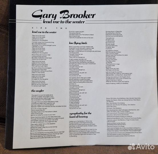 Gary Brooker - Lead Me To The Water (LP)