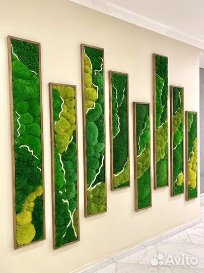 Стабилизированный Мох.Озеленение.Фитостена. Ягель