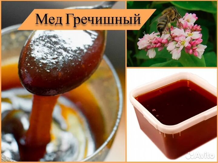 Натуральный мед (липовый, разнотравье). Алтай