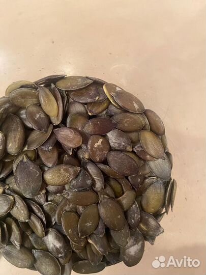 Семена тыквы штирийской