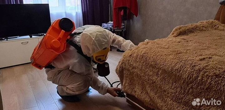 Средство для Уничтожения клопов травля тараканов дезинфекции