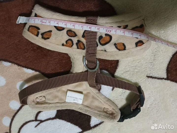 Шлейка для маленькой собачки