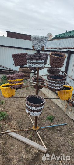 Петуньевое дерево