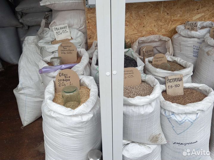 Семена на посев