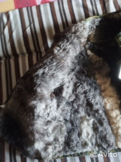 Военная форма