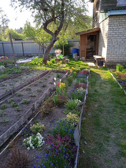 2-к. квартира, 48,7 м², 1/2 эт.