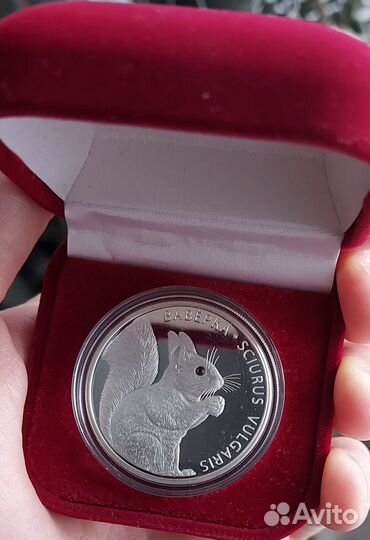 Монета вавёрка