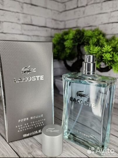 Мужские духи - Lacoste Pour Homme 100ml