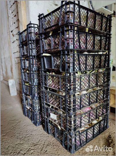 Готовый бизнес с доходностью до 50% годовых