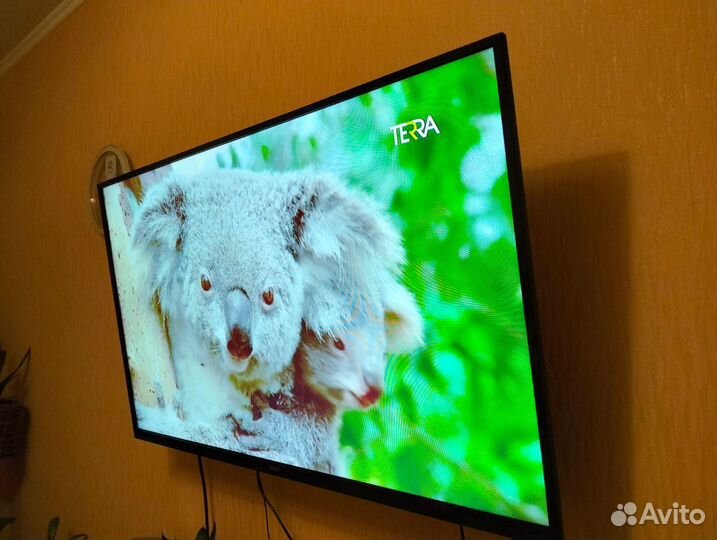 Телевизор bbk