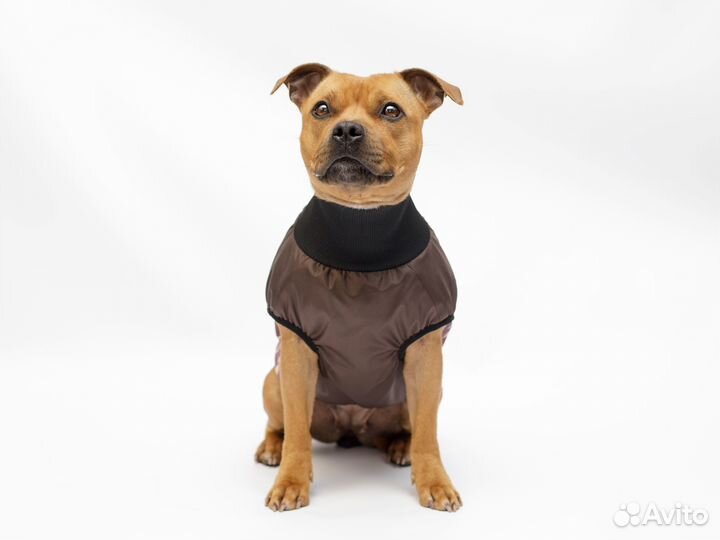 Жилет для собак