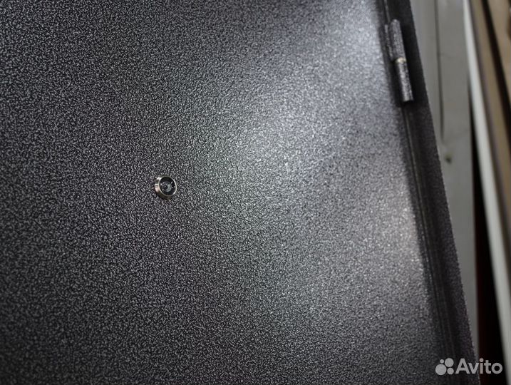 Входная дверь металлическая