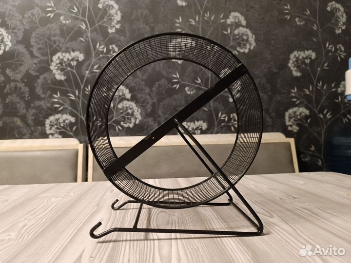 Новое колесо для шиншиллы, дегу