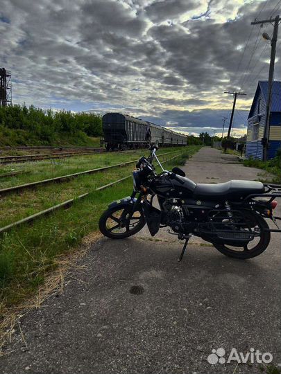 Альфа охотник