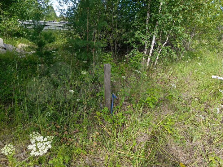 Участок 13,4 сот. (ИЖС)