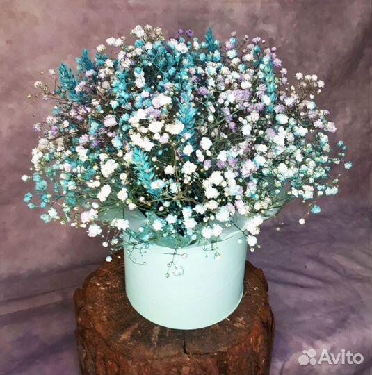 Гипсофилы с открыткой