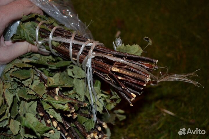 Веники для бани