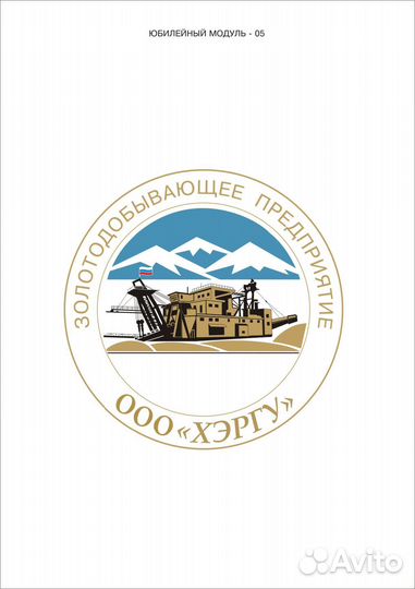 Водитель автомобиля Шахман