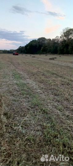 Сено в тюках и в рулонах