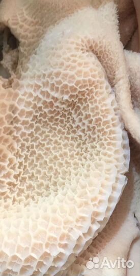 Мясо говядина оптом и в розницу