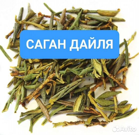 Саган Дайля (Зимний Байкальский)