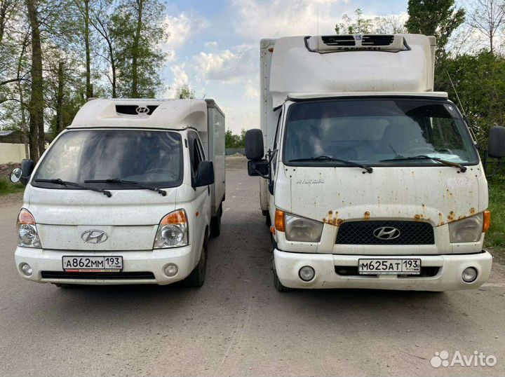 Грузоперевозки рефрижератор допог, ADR