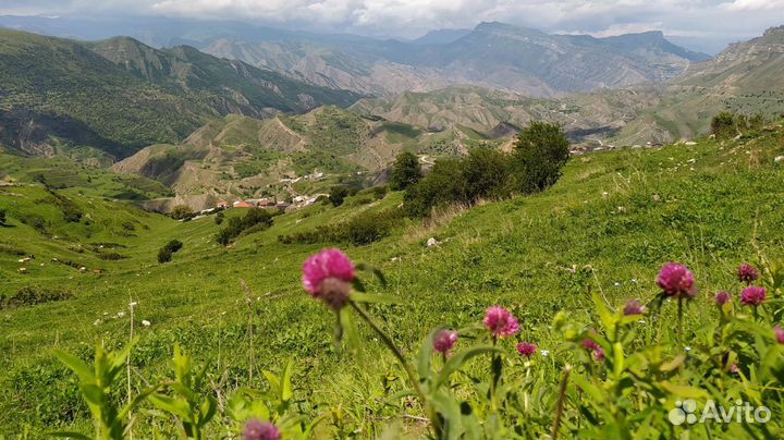 Тур в Дагестан