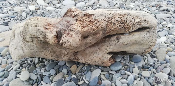 Коряга дрифтвуд для аквариума, и творческих идей