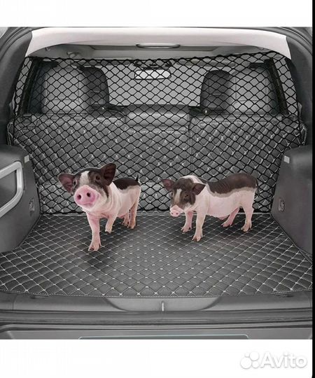 Автомобильные сетки