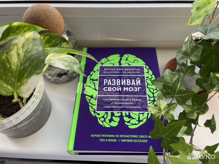 Доктор Джо Диспенза 