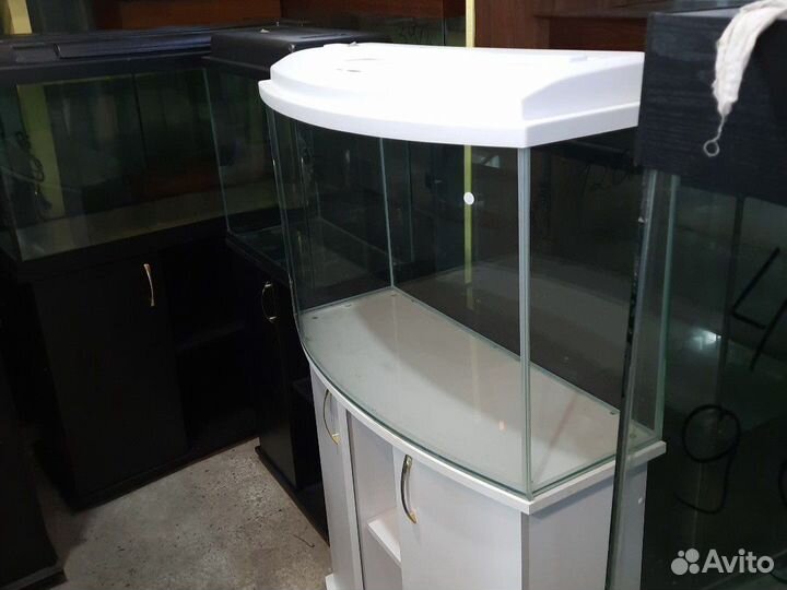 Аквариумы с выгнутым стеклом