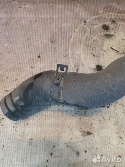 Патрубок радиатора Renault Koleos hyoc 2TR 2009