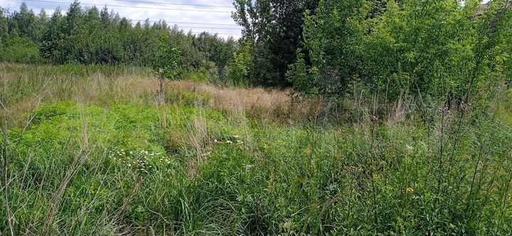 Участок 8 сот. (СНТ, ДНП)