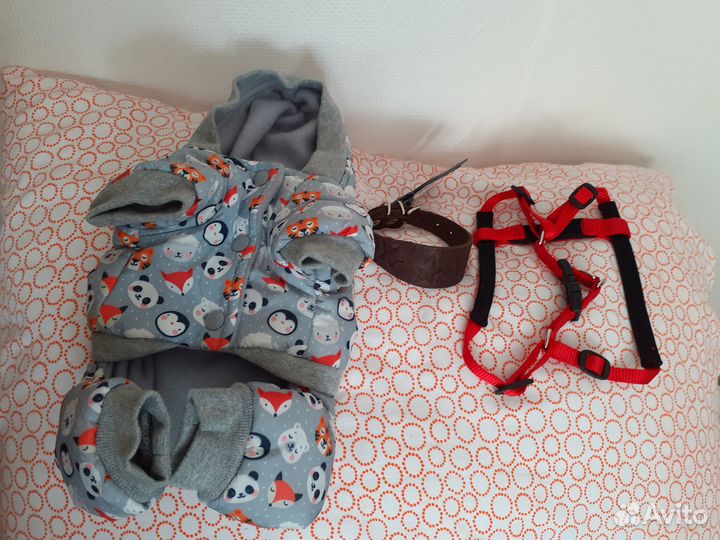 Новые: комбинезон+ошейник