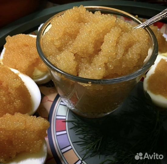 Икра щуки Щучья икра щука