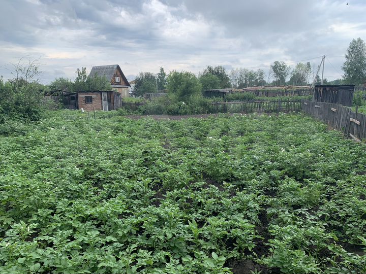 Участок 6 сот. (СНТ, ДНП)