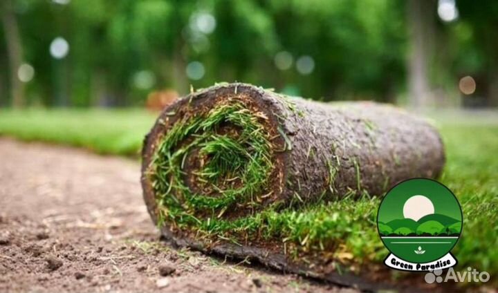 Рулонный газон