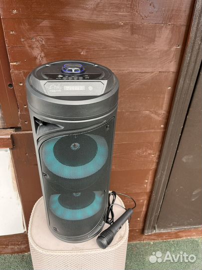 Колонка с микрофоном 50см