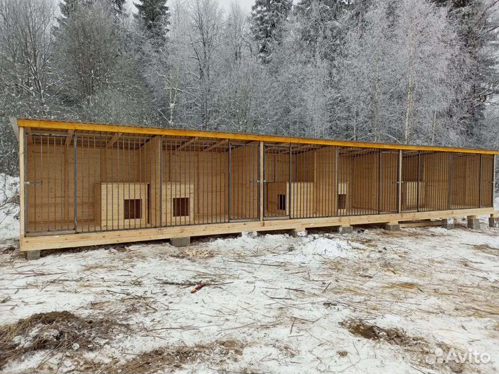 Вольер для собак в питомник