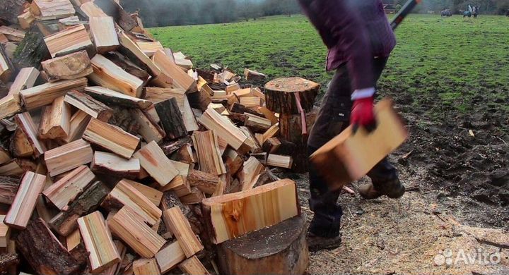 Дрова образцовые