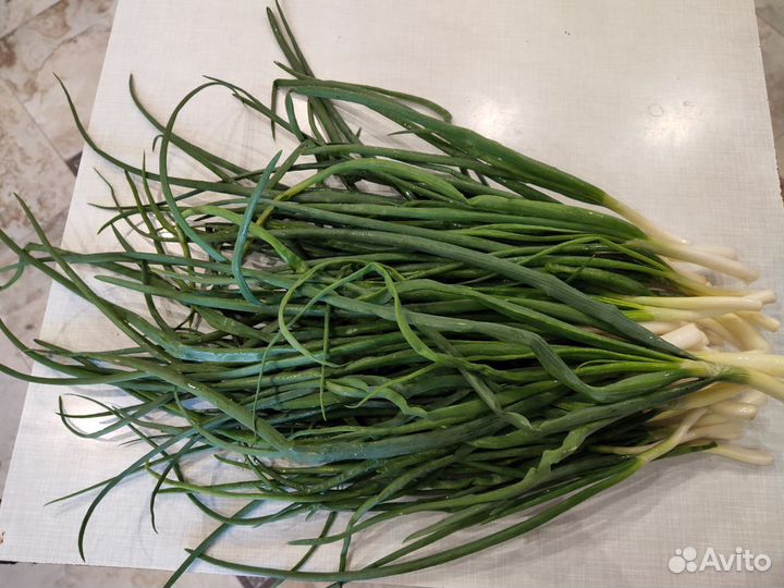 Лук зеленый