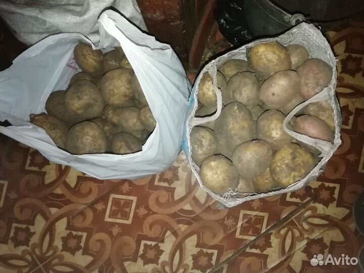 Продам картофель с доставкой