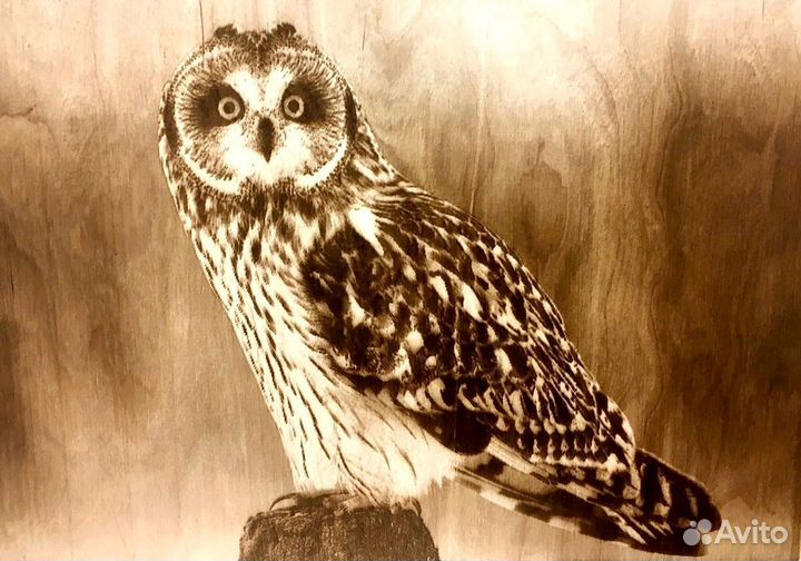 Пиропринтер Х с полем 42*50 см