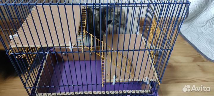 Клетка для грызунов