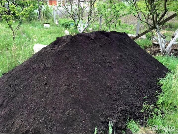 Навоз коровий