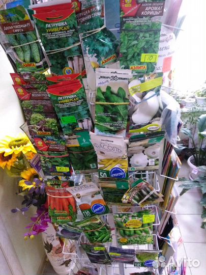 Семена, рассада, Саженцы, розы садовые