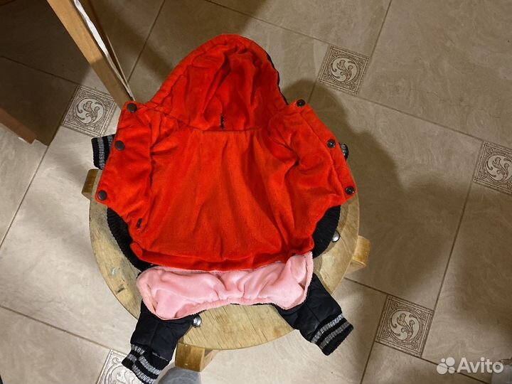 Одежда для собак